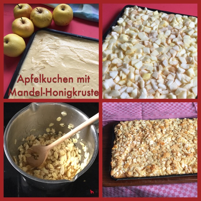Apfelkuchen mit Mandel-Honikgkruste